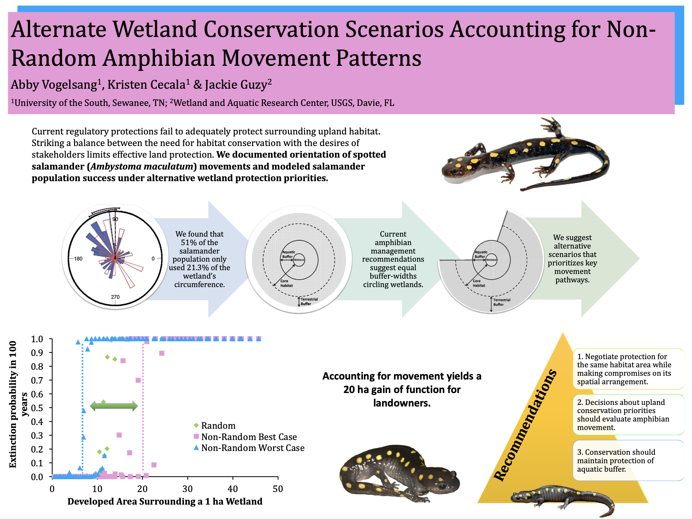 Showcase Image for Alternate Wetland Conservation Scenarios Accounting for Non-Random Amphibian Movement Patterns