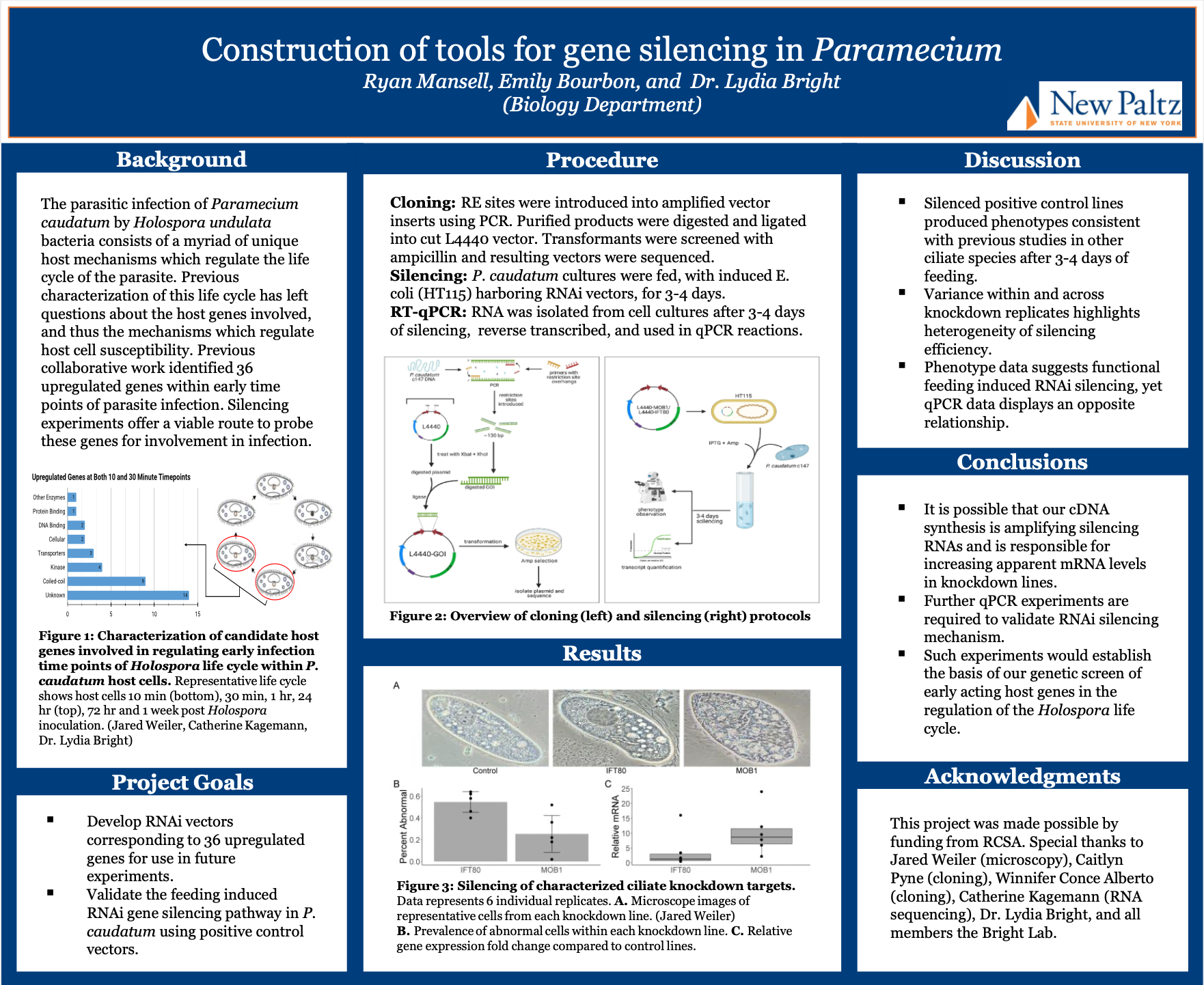 Showcase Image for Construction of Tools for Gene Silencing in Paramecium