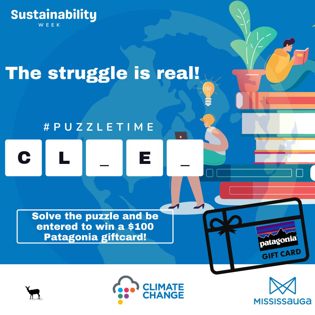 Showcase Image for Help Mississauga Take Climate Action: Activity Puzzle