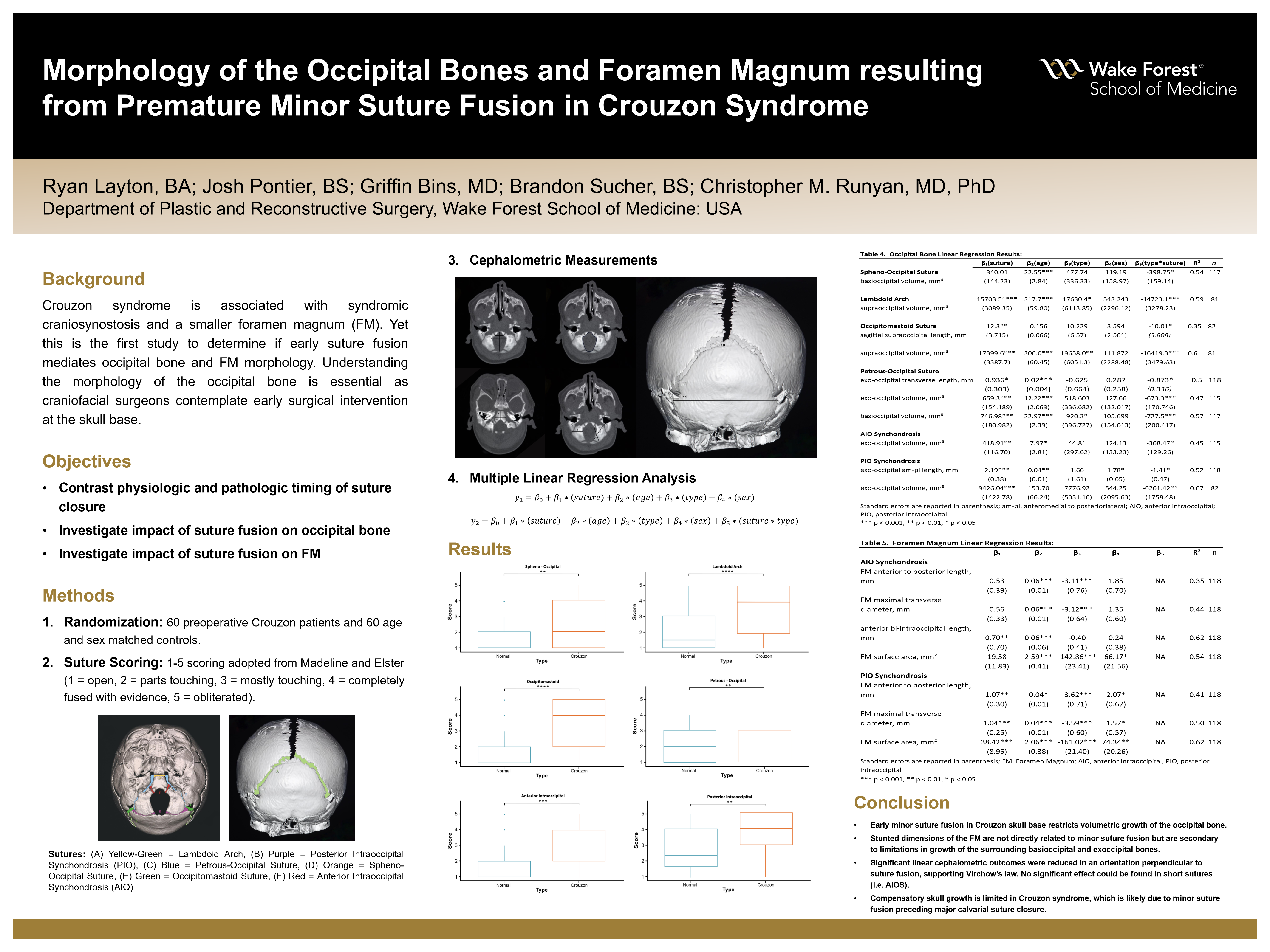Showcase Image for Morphology of the Occipital Bones and Foramen Magnum resulting from Premature Minor Suture Fusion in Crouzon Syndrome