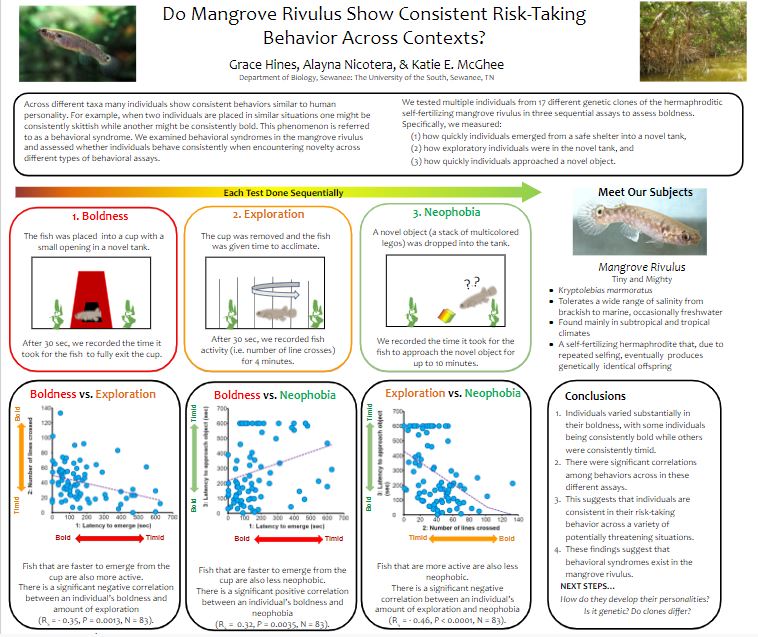 Showcase Image for Do Mangrove Rivulus Show Consistent Risk-Taking Behavior Across Contexts?