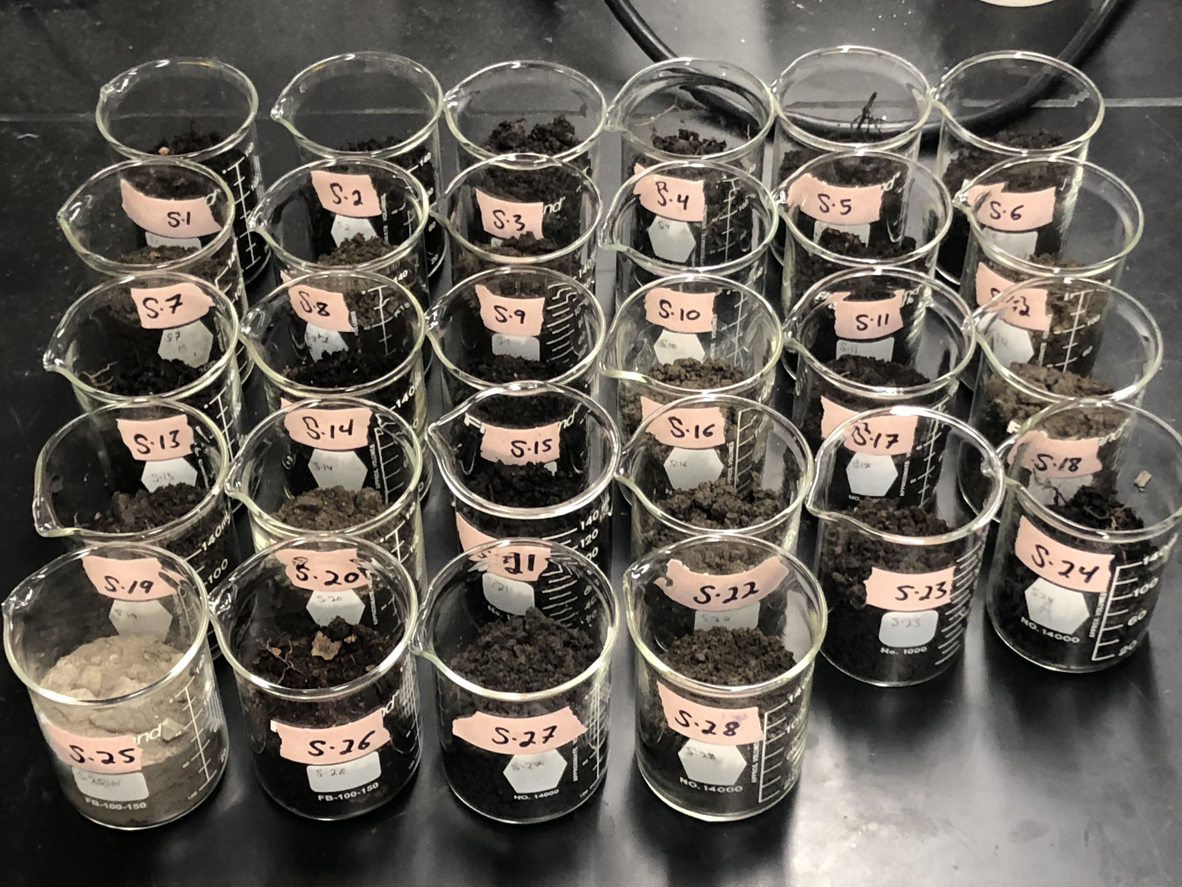 Showcase Image for Barium Concentrations in Soil at the Kingston Land Trust