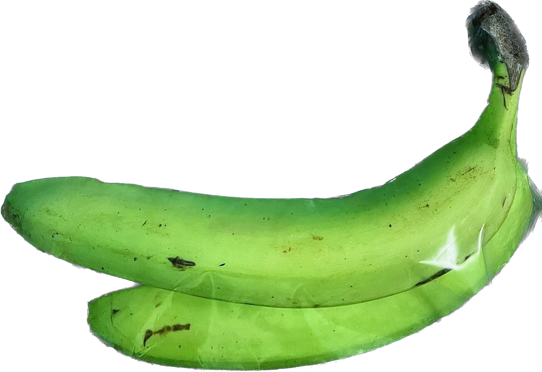 Showcase Image for Effect of Activated Carbon & Clove Essential Oil on Ripening and Spoilage of Bananas