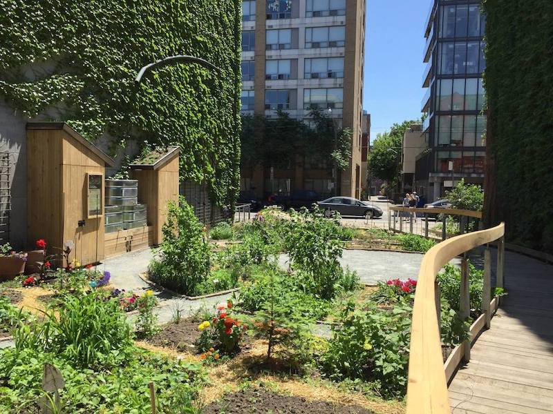 Showcase Image for A Review of How Community Gardens Interact with the United Nations’ Sustainable Development Goals 1, 2, 3, and 11, and Promote Sustainable Development in North American Cities