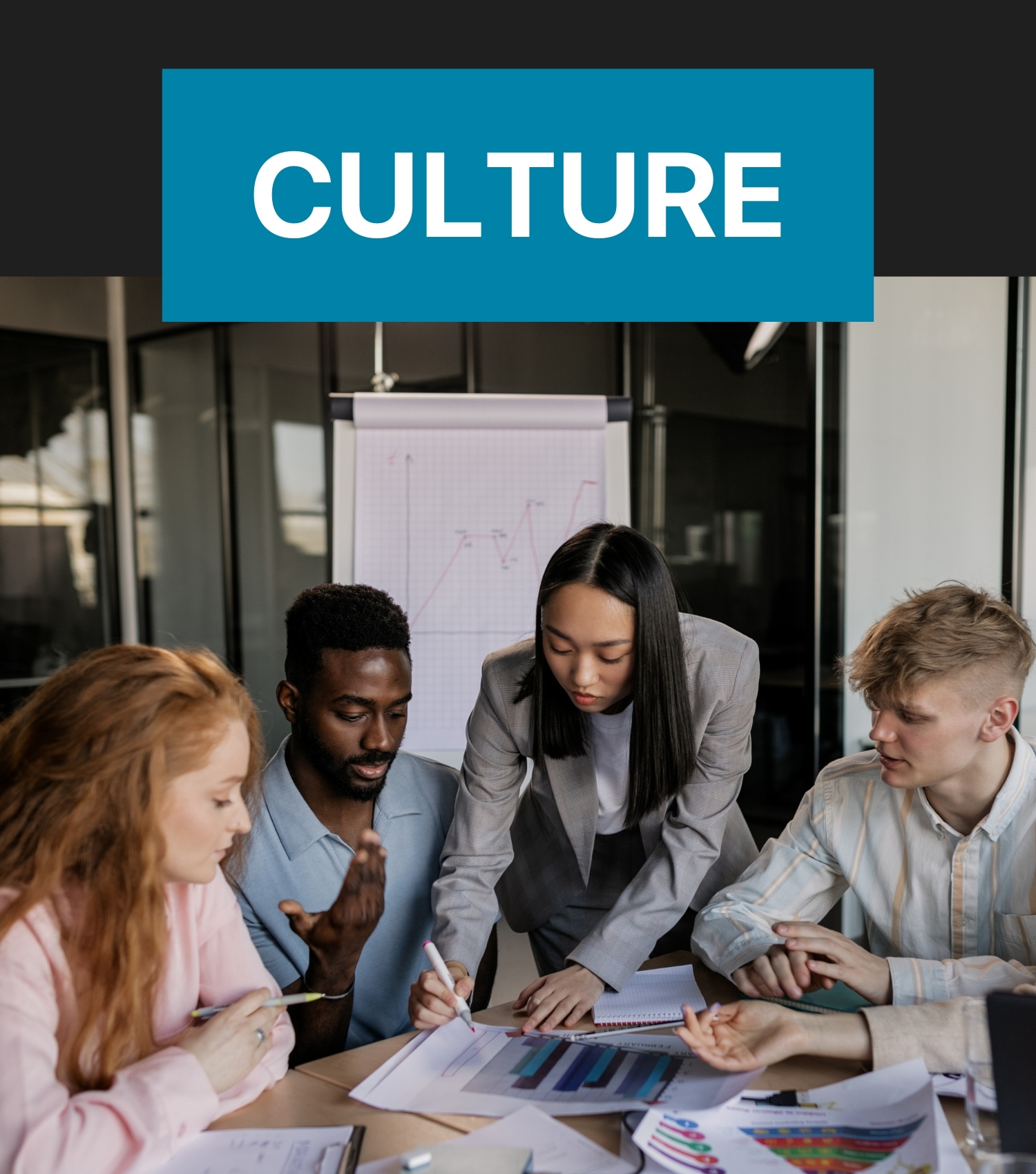 Showcase Image for Culture at Springer