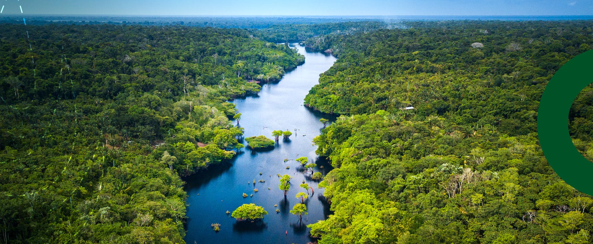 Showcase Image for Evaluating Safeguards in REDD+ Developments: Assessing the Adherence of National Documents with International Frameworks