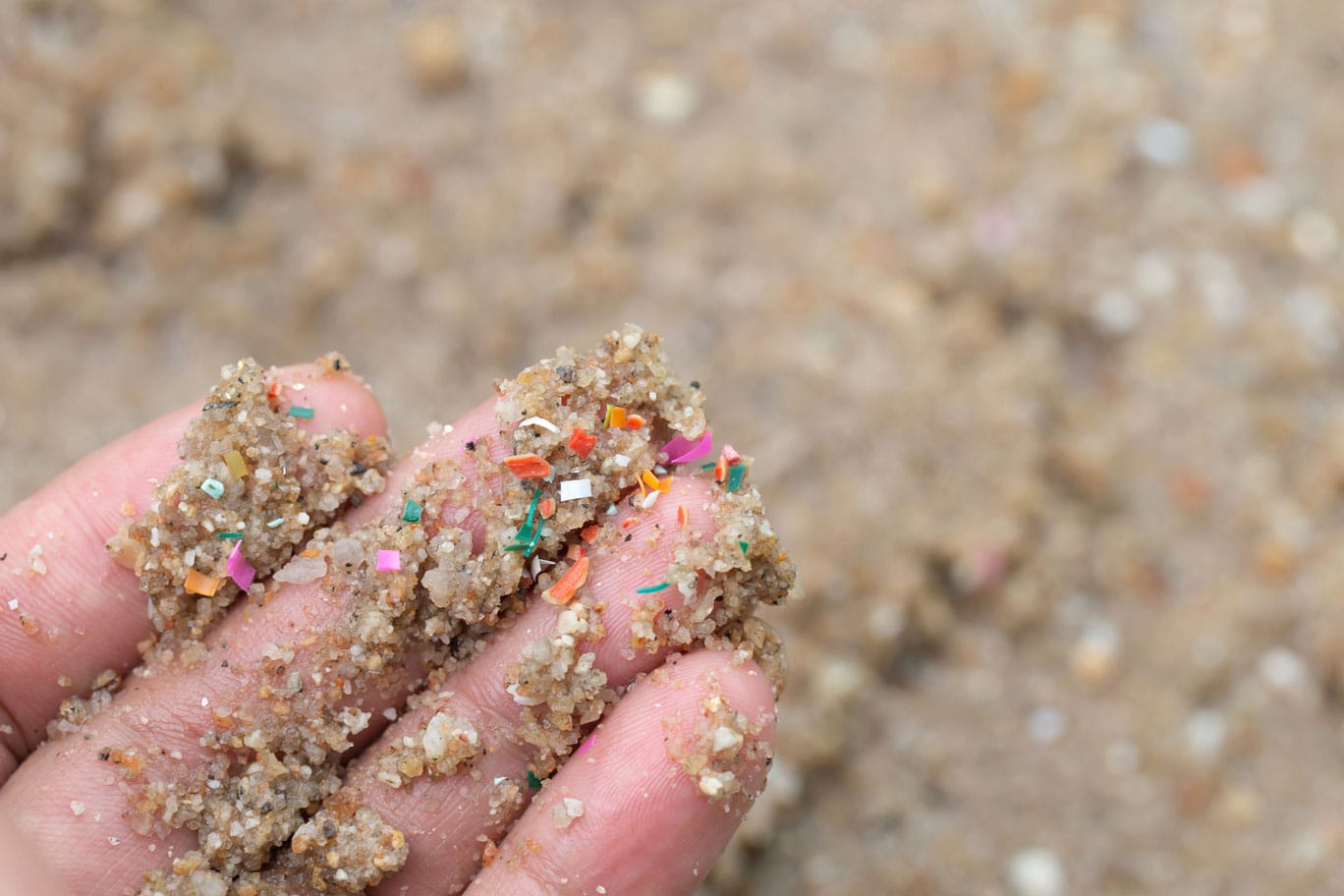 Showcase Image for Plastics Unleashed: Assessing Microplastic Environmental Impacts and Remobilization Risks in Freshwater Sediments