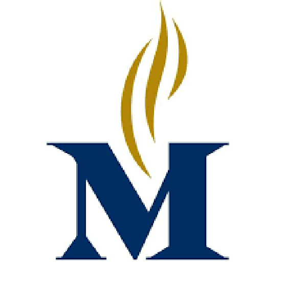 Showcase Image for Protestant Memorial Medical Center, Inc.