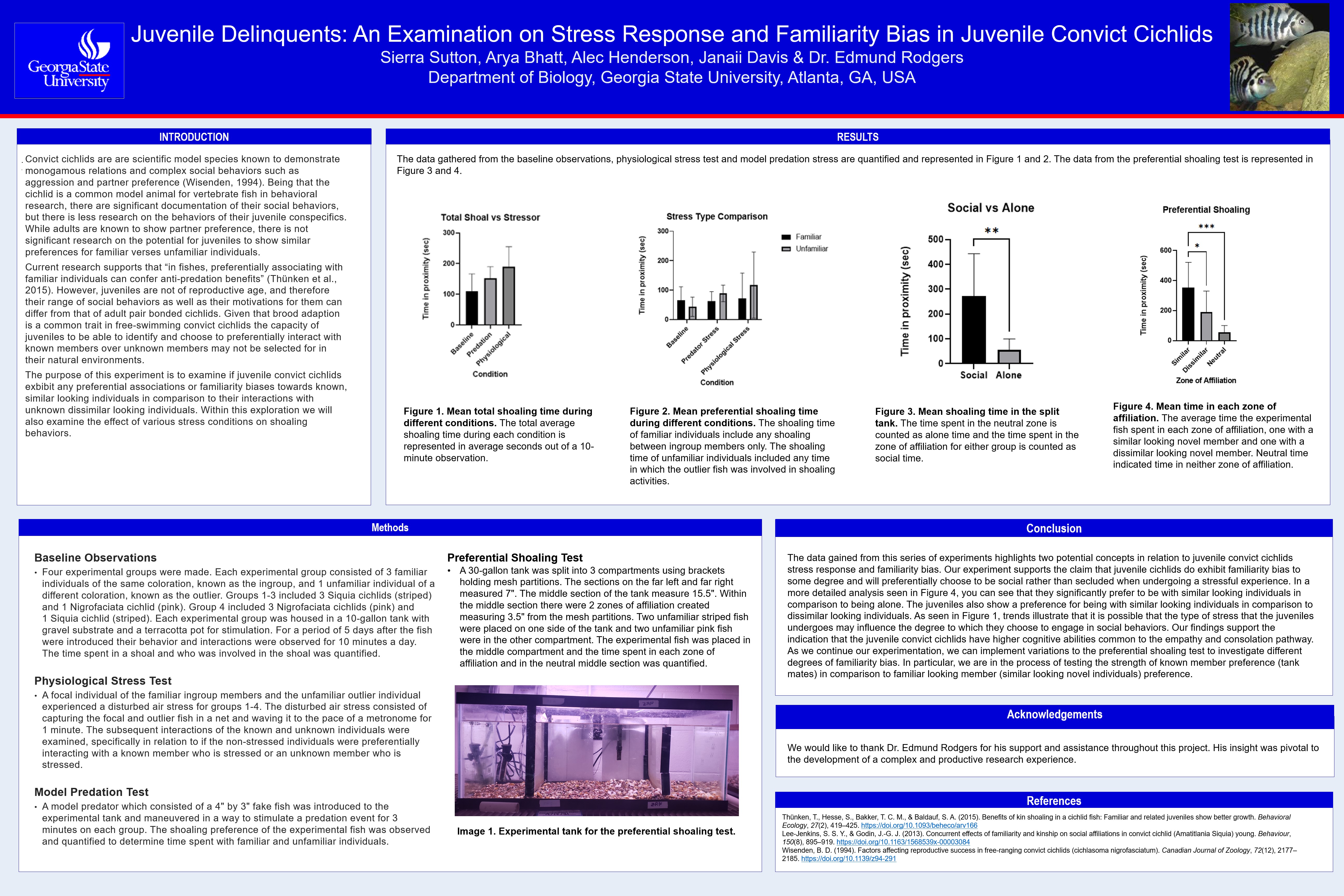 Showcase Image for Juvenile Delinquents: An Examination of Stress Responses and Familiarity Bias in Juvenile Convict Cichlids 
