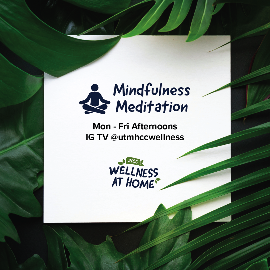 Showcase Image for Mindfulness Meditation Series