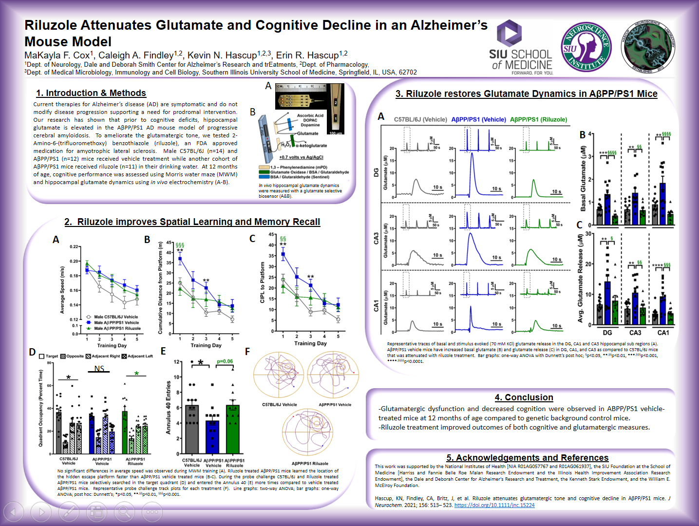 Showcase Image for Riluzole attenuates Glutamate and Cognitive Decline in an Alzheimers Mouse Model