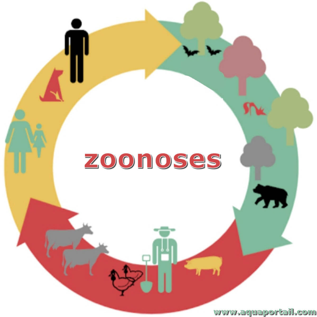 Showcase Image for Exploration des zoonoses priorisées par l’Observatoire multipartite québécois sur les zoonoses et l’adaptation aux changements climatiques dans la population québécoise