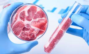 Showcase Image for The Feasibility and Scalability of Lab Grown Meat