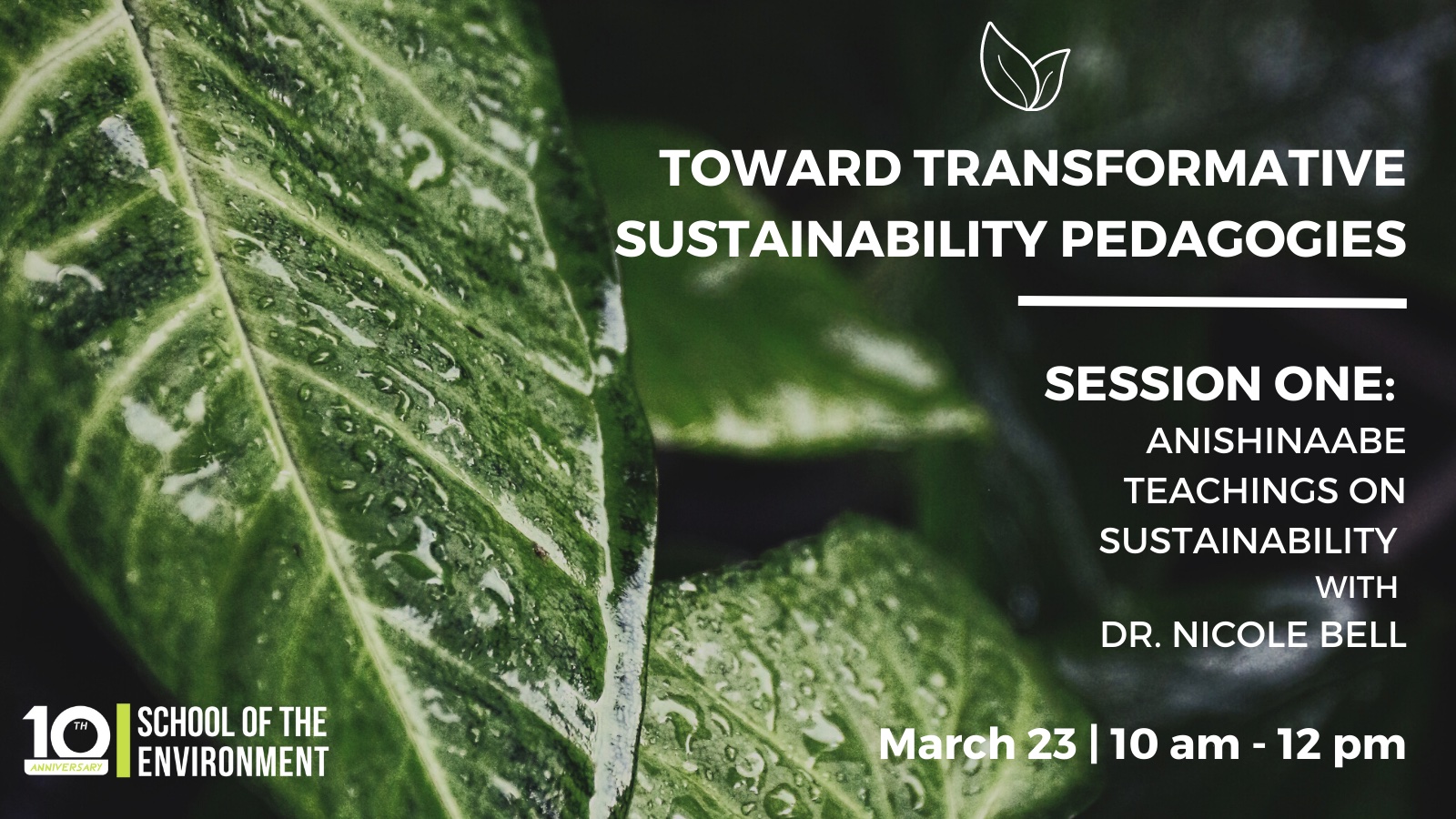 Showcase Image for Toward Transformative Sustainability Pedagogies 