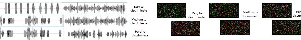 Showcase Image for Investigating Visual and Auditory Discrimination in Children with High Functioning Autism Spectrum Disorder