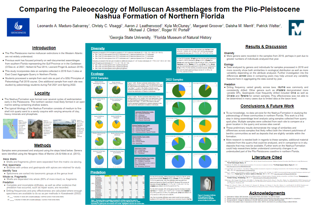 Showcase Image for Comparing the Paleoecology of Molluscan Assemblages from the Plio-Pleistocene Nashua Formation of Northern Florida