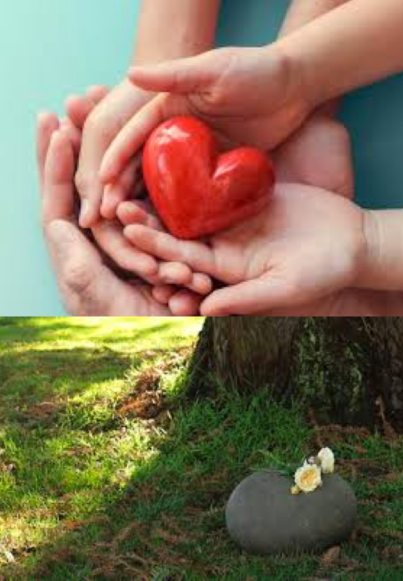Showcase Image for Post Life Legacy for Sustainability