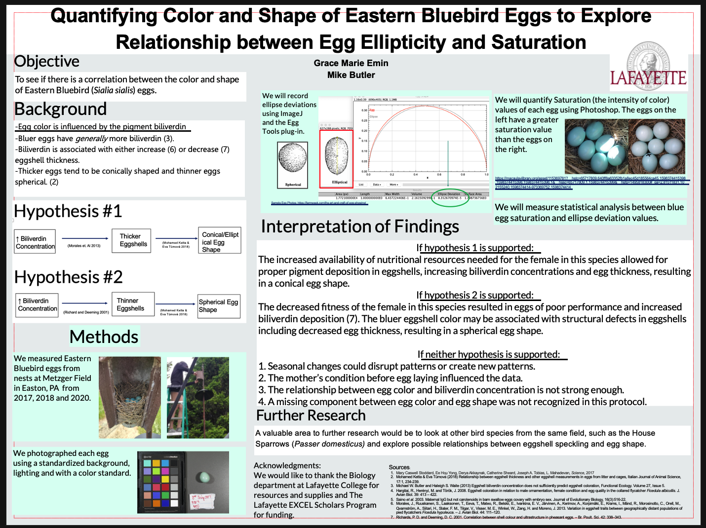 Showcase Image for Quantifying Color and Shape of Eastern Bluebird Eggs to Explore Relationship between Egg Ellipticity and Saturation