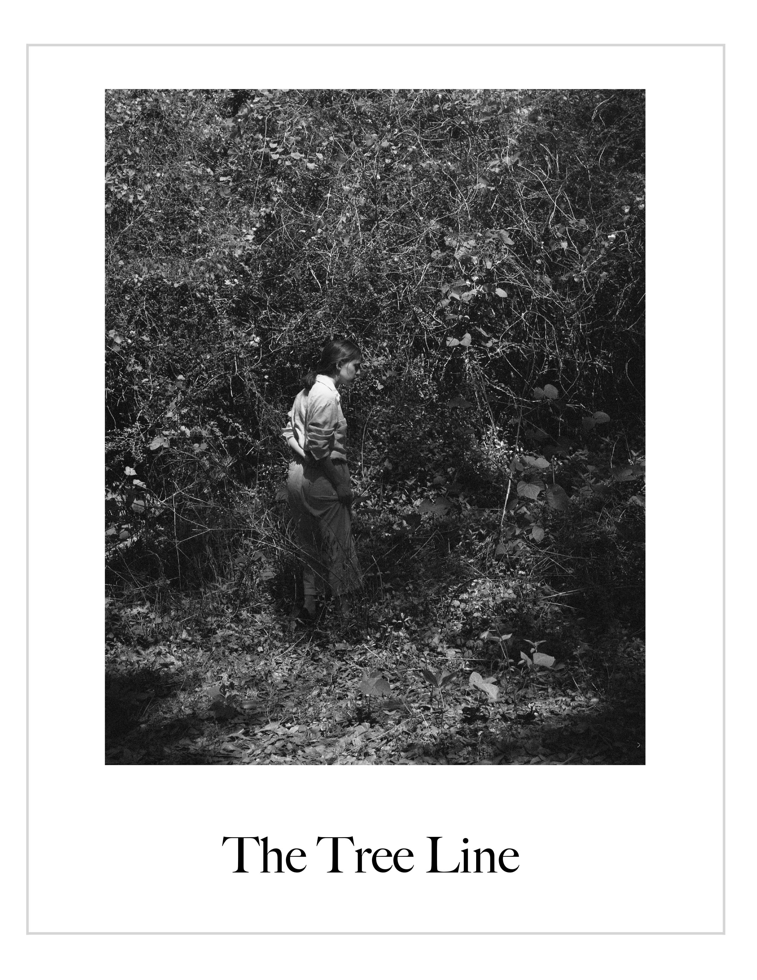 Showcase Image for The Tree Line