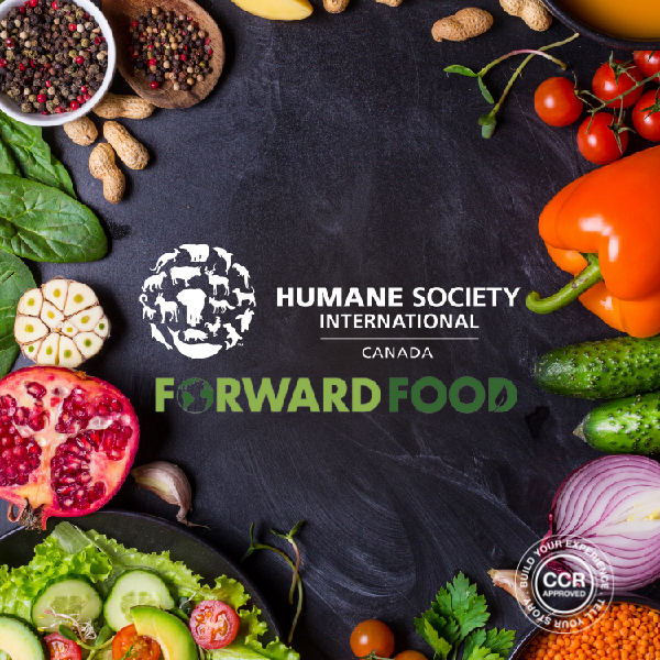 Showcase Image for Eating Sustainably on Campus with Forward Food