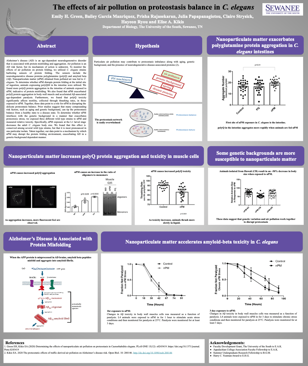 Showcase Image for The effects of air pollution on proteostasis balance in C. elegans