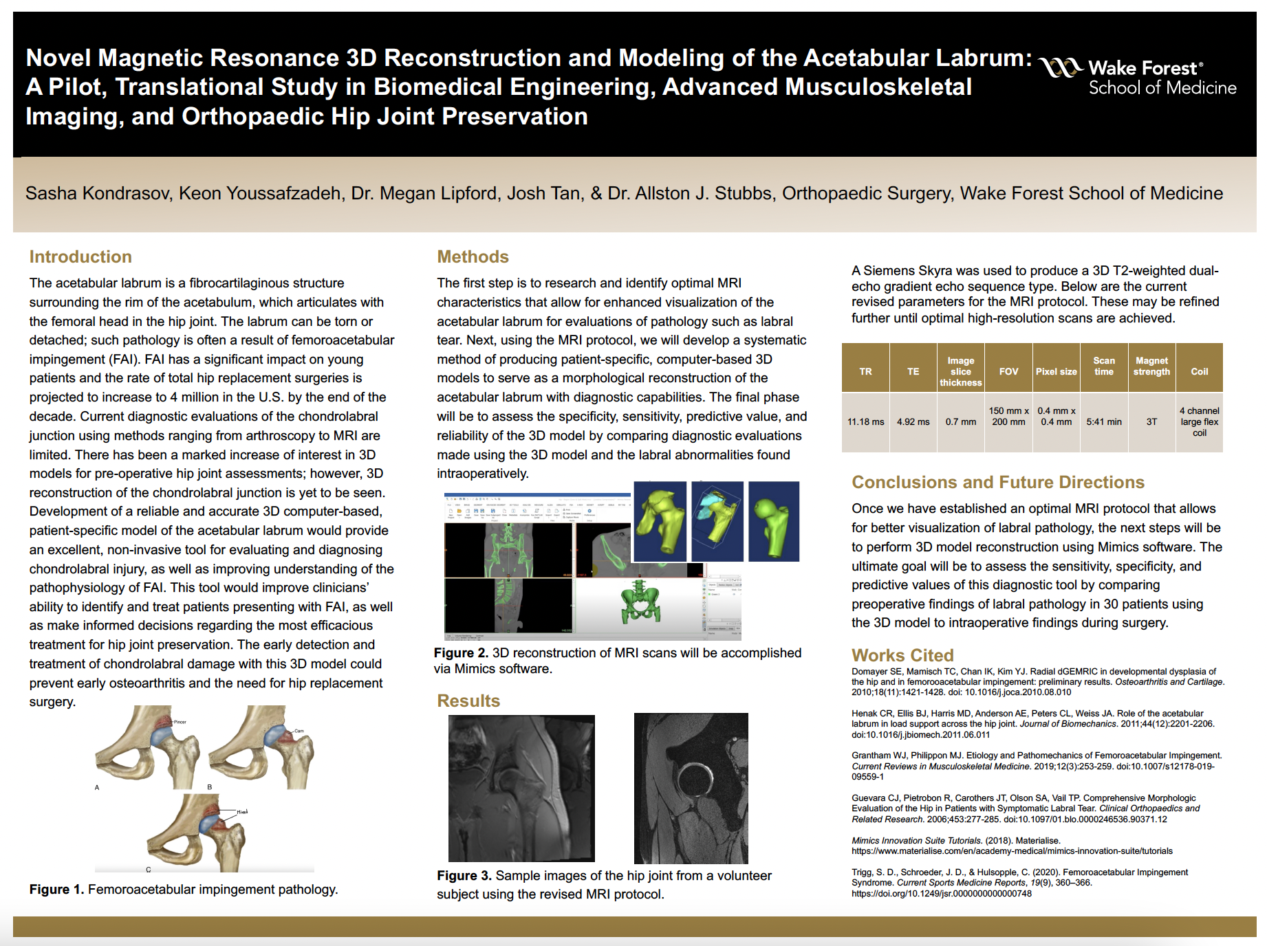Showcase Image for Novel Magnetic Resonance 3D Reconstruction and Modeling of the Acetabular Labrum: A Pilot, Translational Study in Biomedical Engineering, Advanced Musculoskeletal Imaging, and Orthopaedic Hip Joint Preservation