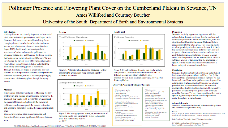 Showcase Image for Pollinator Presence and Flowering Plant Cover on the Cumberland Plateau in Sewanee, TN