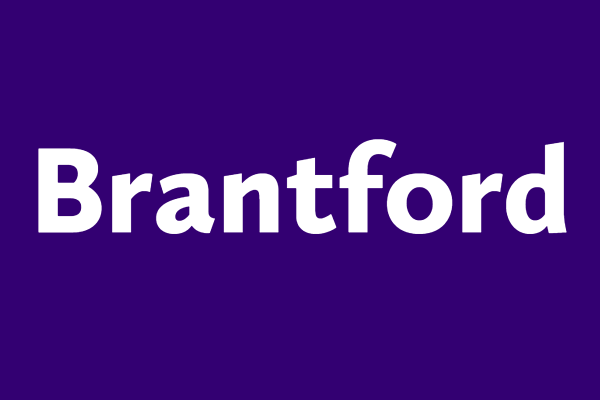 Showcase Image for Brantford Organizations