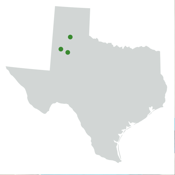 Showcase Image for Living and Working in West Texas