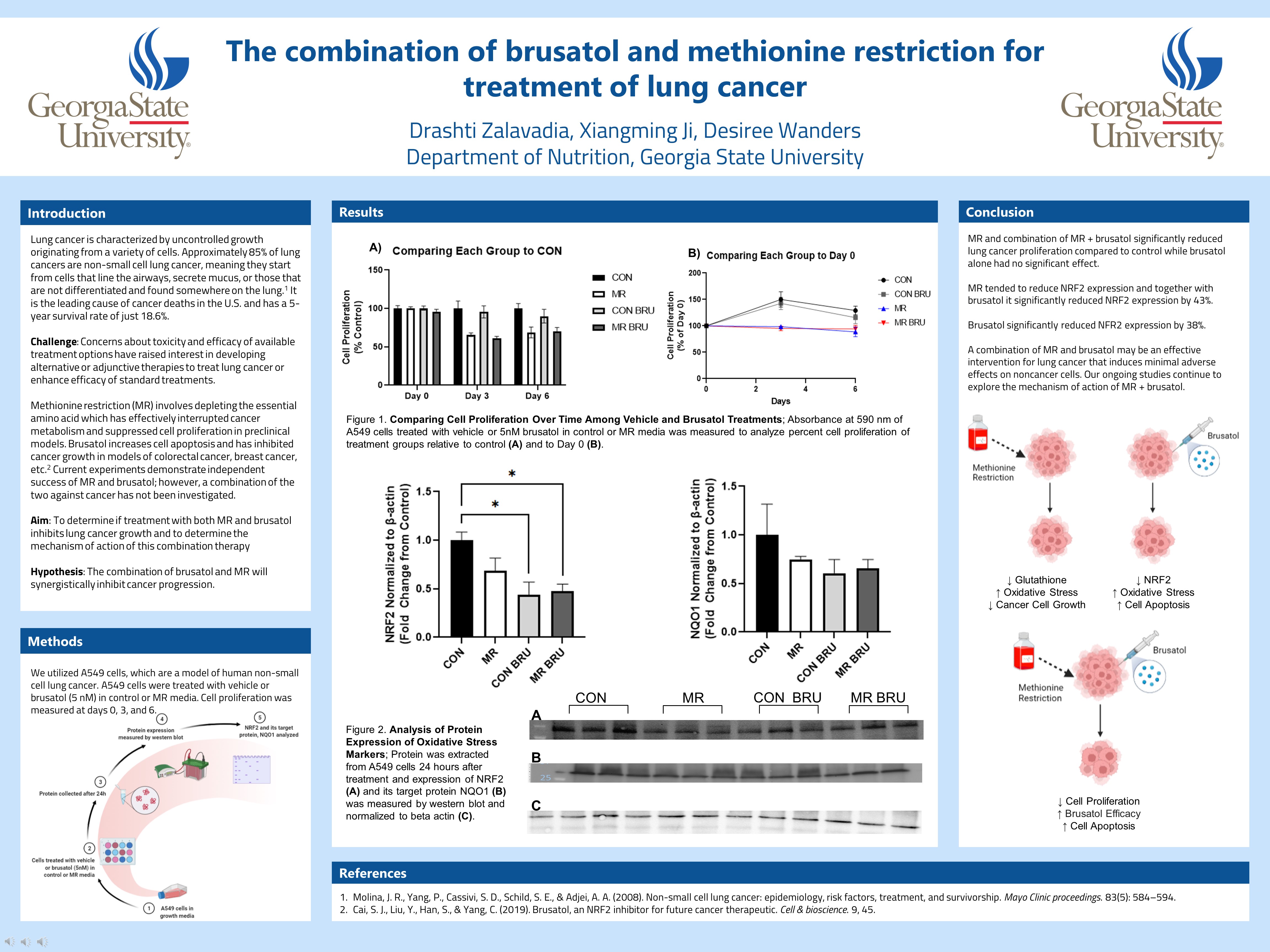 Showcase Image for The combination of brusatol and methionine restriction for treatment of lung cancer