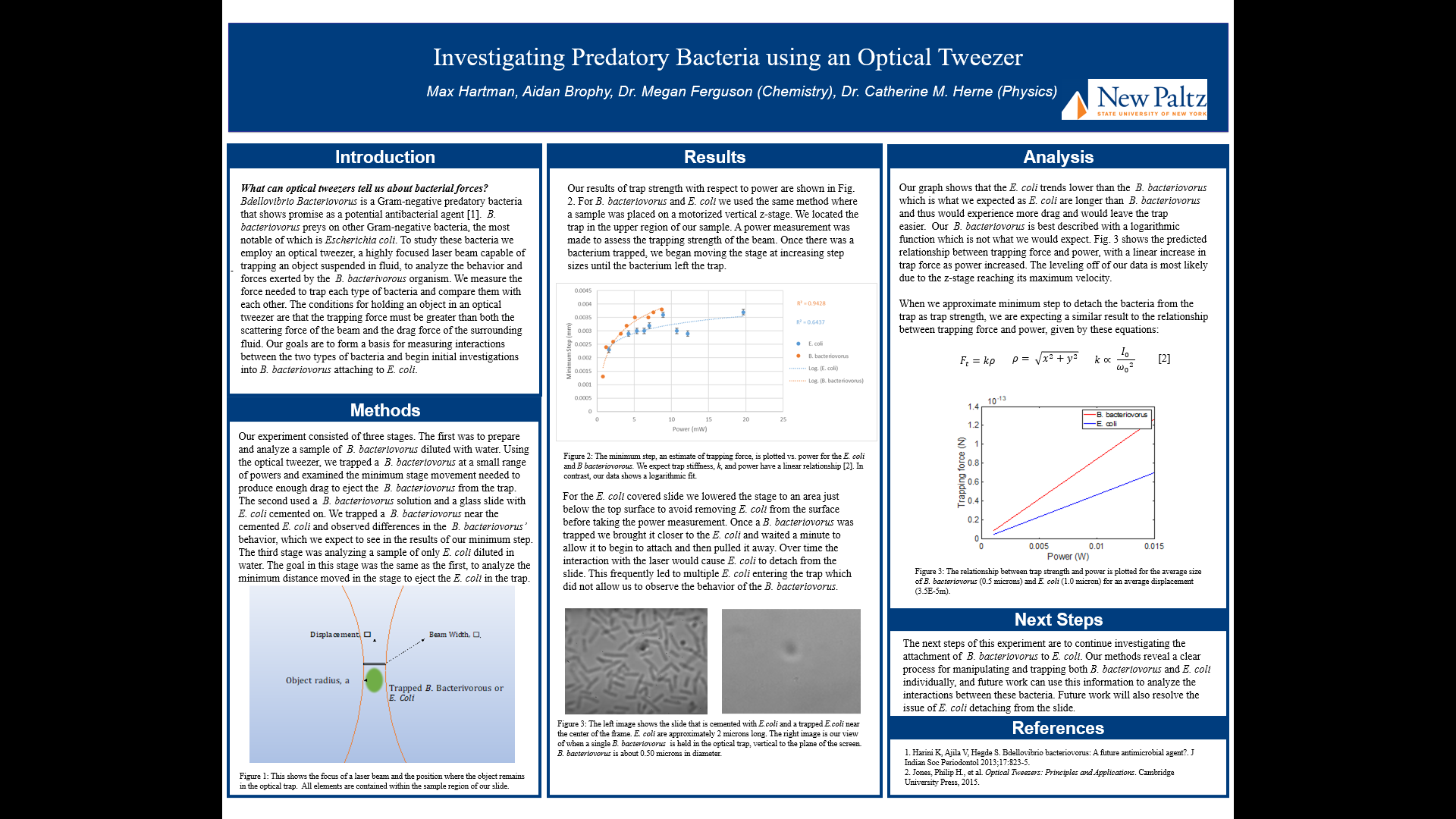Showcase Image for Bacterial Attachment Force Measurement 