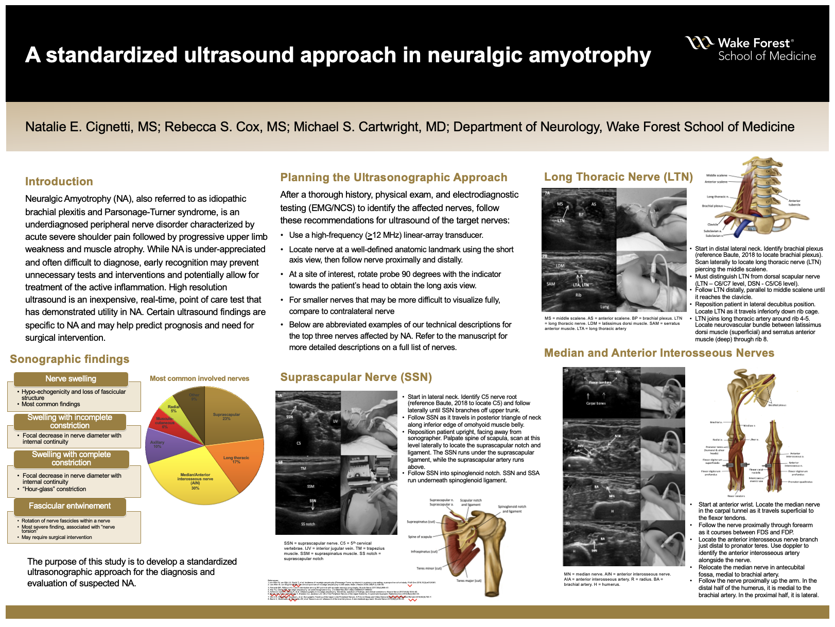 Showcase Image for A standardized ultrasound approach in neuralgic amyotrophy