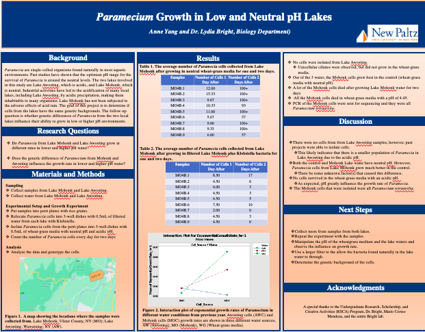 Showcase Image for Paramecium Growth in Low and Neutral pH Lakes
