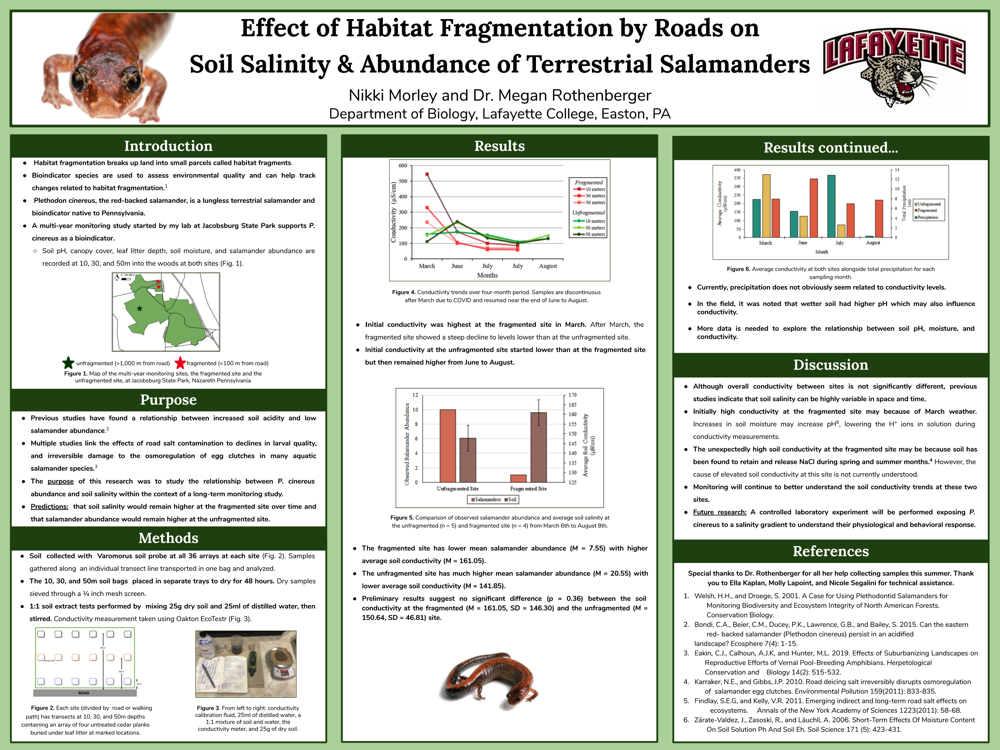 Showcase Image for Effect of Habitat Fragmentation by Roads on  Soil Salinity & Abundance of Terrestrial Salamanders