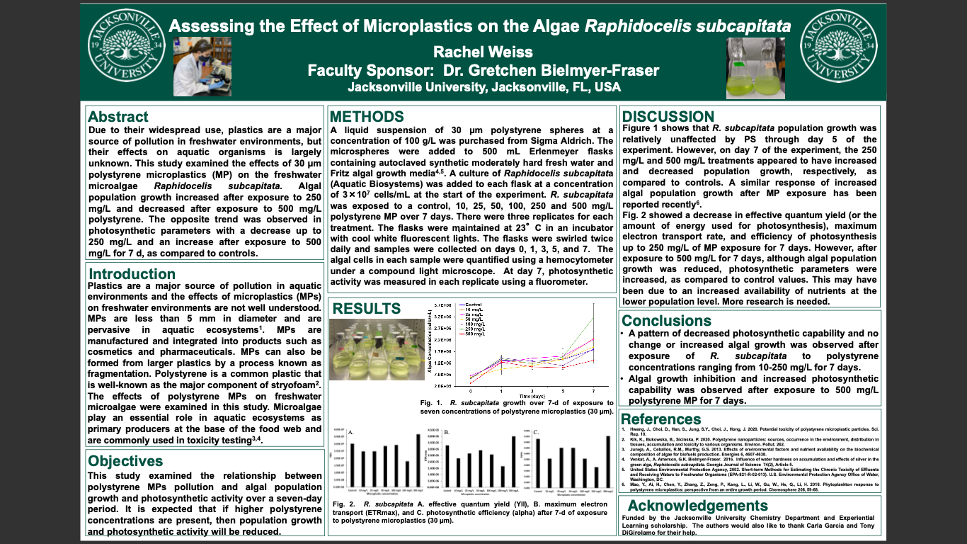 Showcase Image for Assessing the Effect of Microplastics on the Algae Raphidocelis Subcapitata