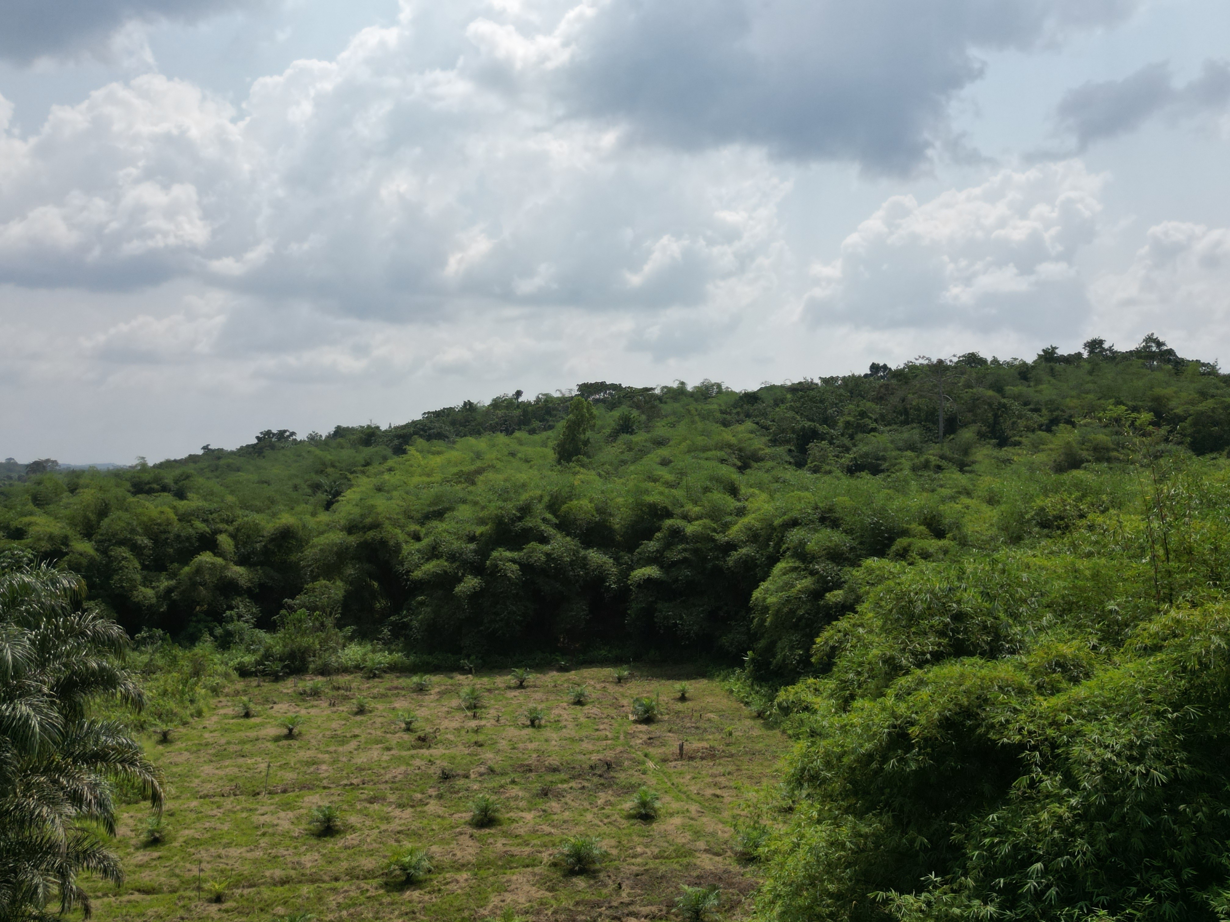 Showcase Image for Sustainable Agriculture in Ivory Coast: Current states, Barriers and Opportunities