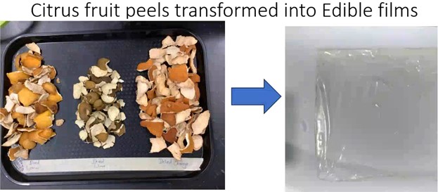 Showcase Image for SBP 24 - Development of Edible Films from Citrus Fruit Peel Extracts with Potassium Lactate as an Antimicrobial Package in Poultry Meat samples