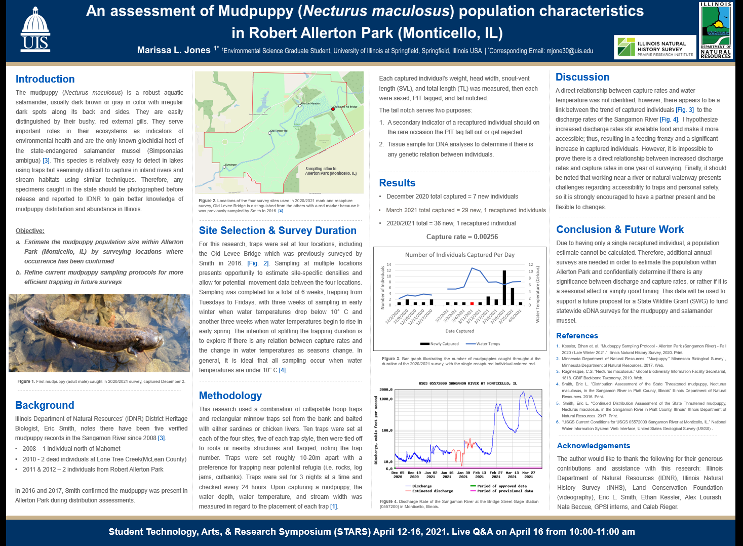 Showcase Image for An Assessment of Mudpuppy (Necturus maculosus) Population Characteristics in Robert Allerton Park (Monticello, IL