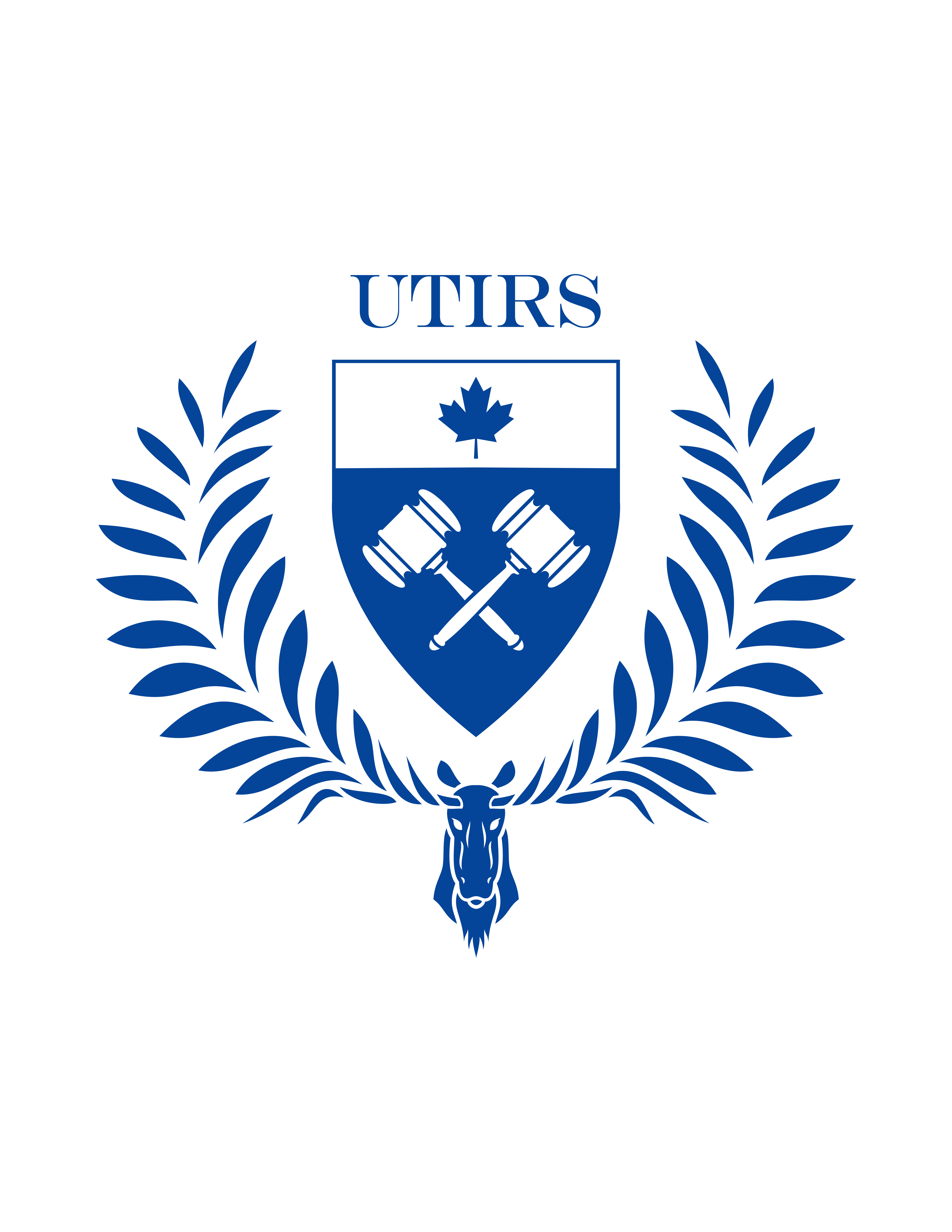 Showcase Image for University of Toronto International Relations Student Society 