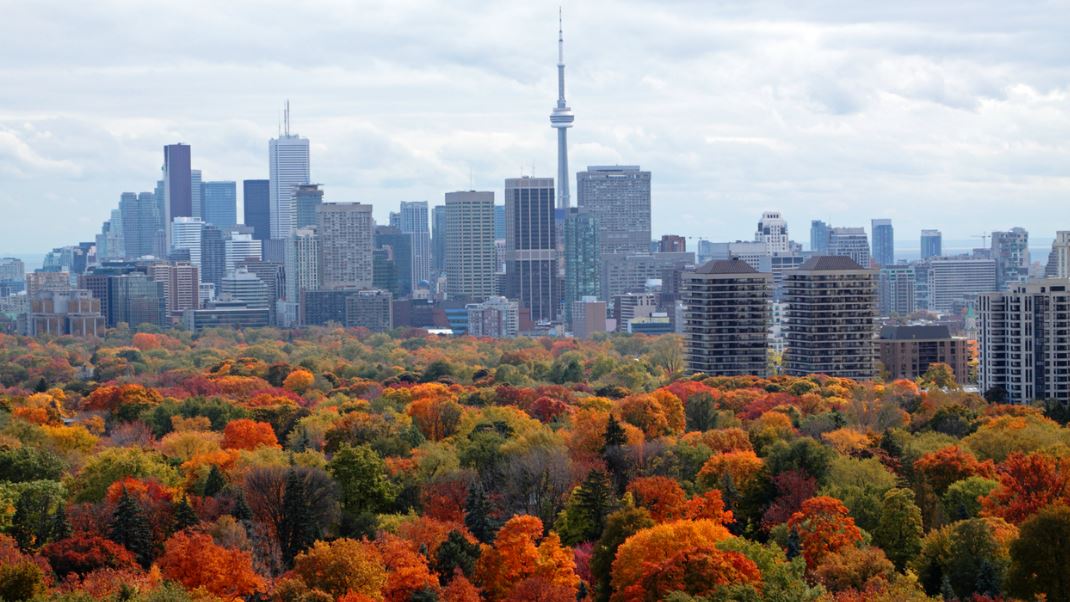 Showcase Image for Optimizing Ecosystem Services of Urban Forests in Toronto for Climate Resilience